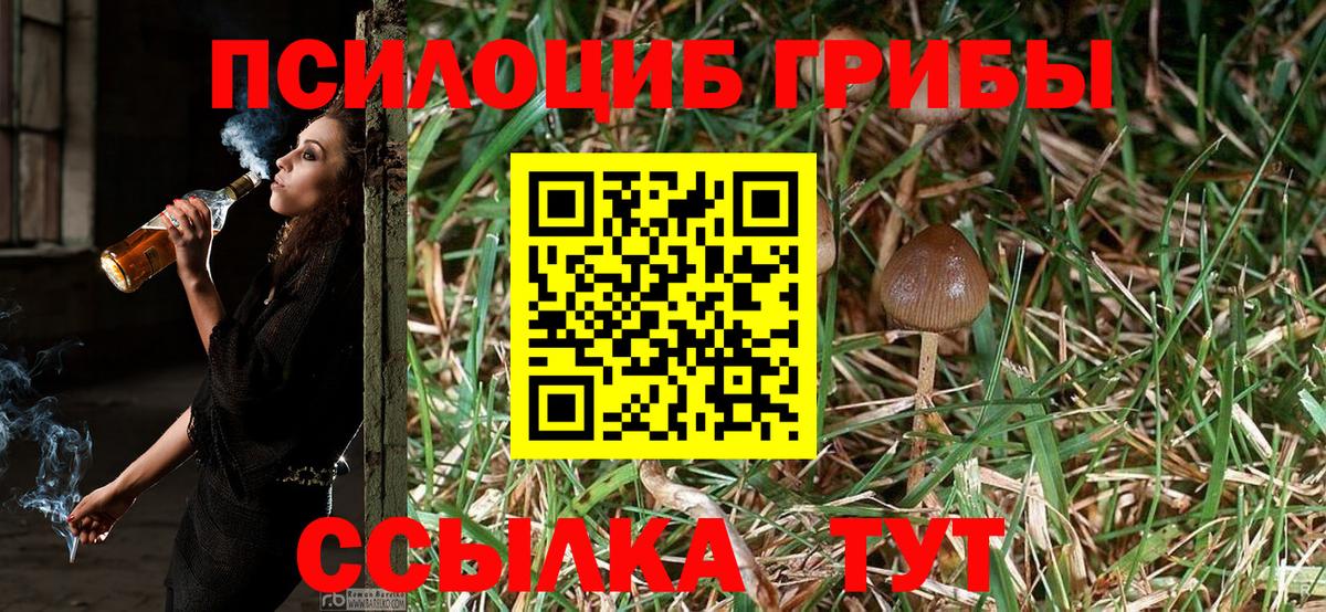 Псилоцибиновые грибы Magic Shrooms  где можно купить   Вход с VPN  Снежинск  Псилоцибиновые грибы мухоморы 